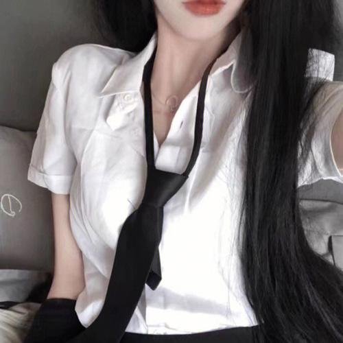 菊石